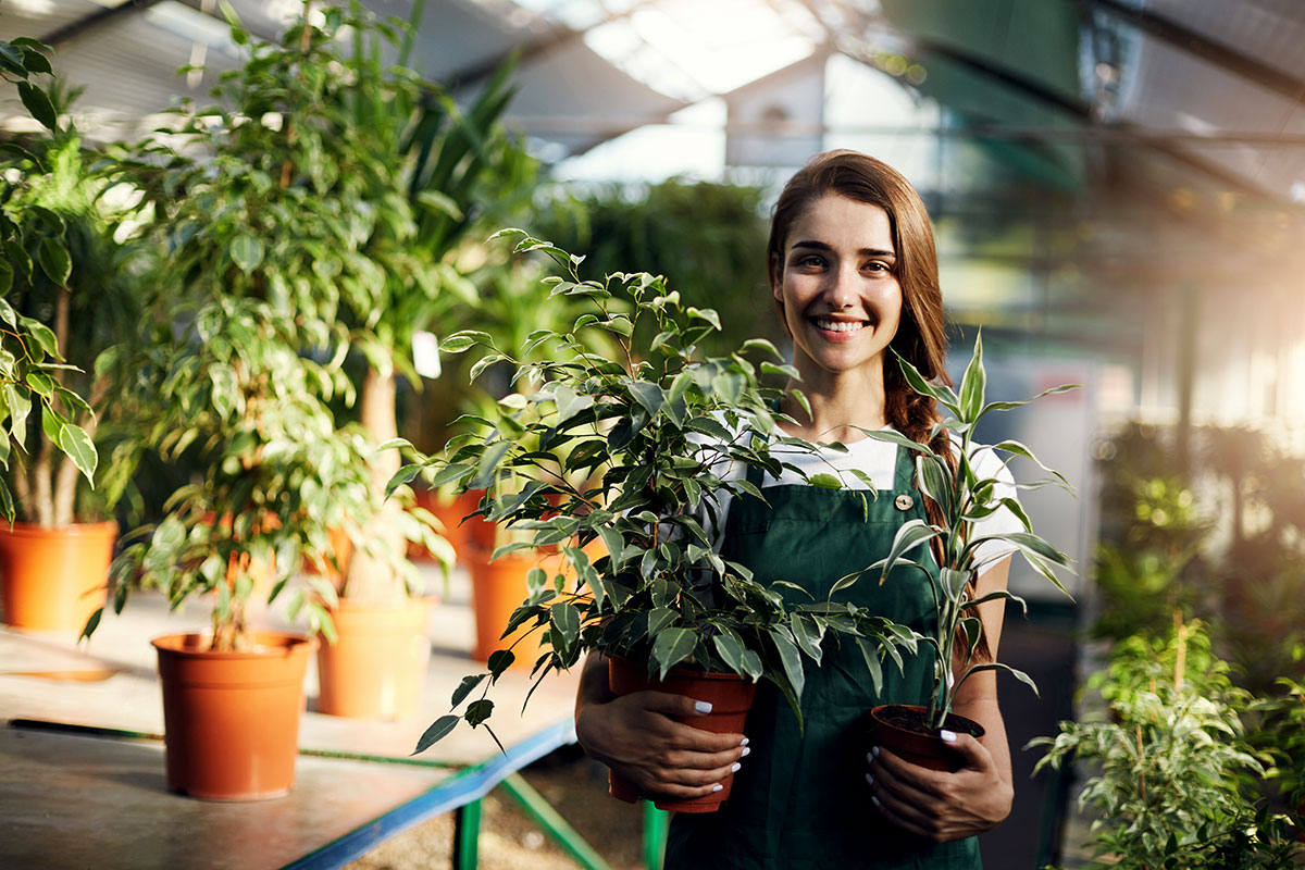 Growing Your Business: Dealing with Seasonality
